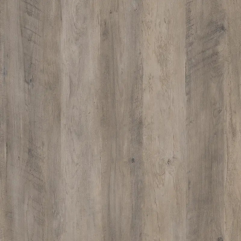 Systembuild Evolution Derzig 2 Door Kitchen Pantry Cabinet