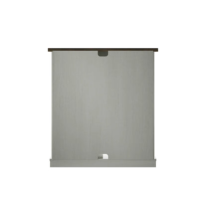 Accent Cabinet with Sliding Barn Door