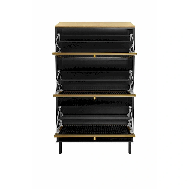 Modern Freestanding Shoe Storage Cabinet with 3 Metal Doors