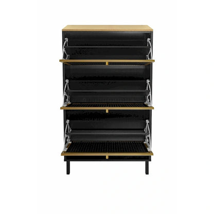 Modern Freestanding Shoe Storage Cabinet with 3 Metal Doors