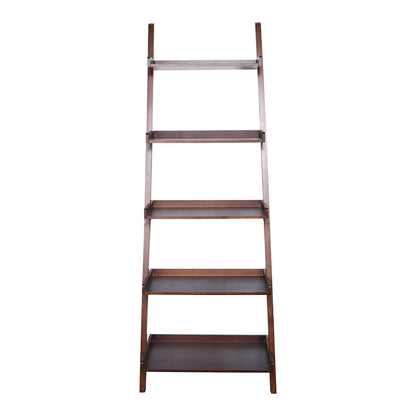 5 - Tier Ladder Shelf